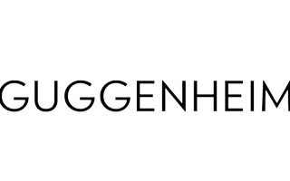 Ciberseguridad Guggenheim